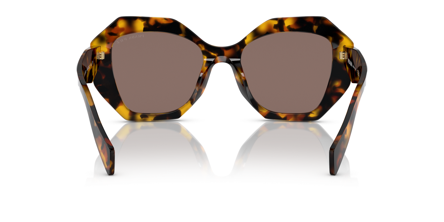 Prada Sunglasses Honey Tortoise-Polar Light Brown | PRADA PR 16WS Honey Tortoise-Polar Light Brown