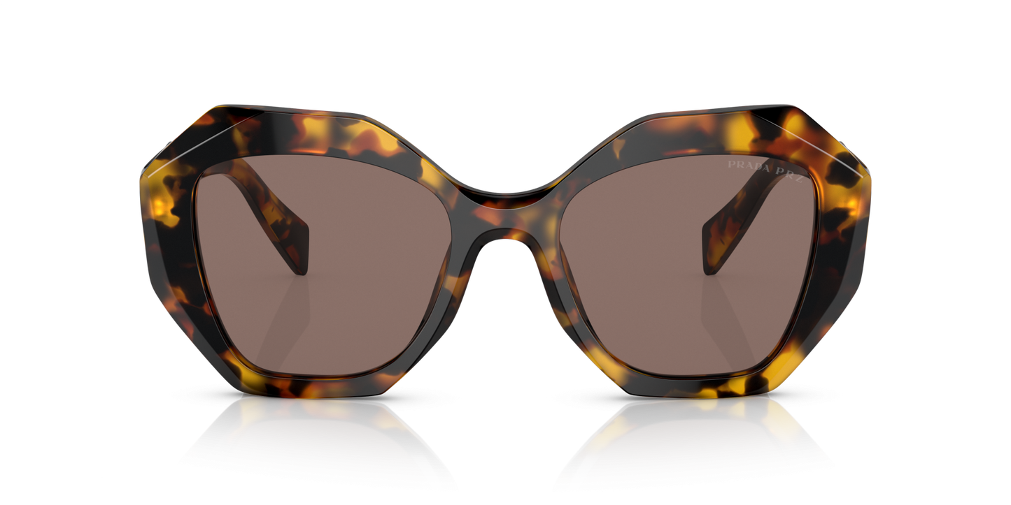 Prada Sunglasses Honey Tortoise-Polar Light Brown | PRADA PR 16WS Honey Tortoise-Polar Light Brown