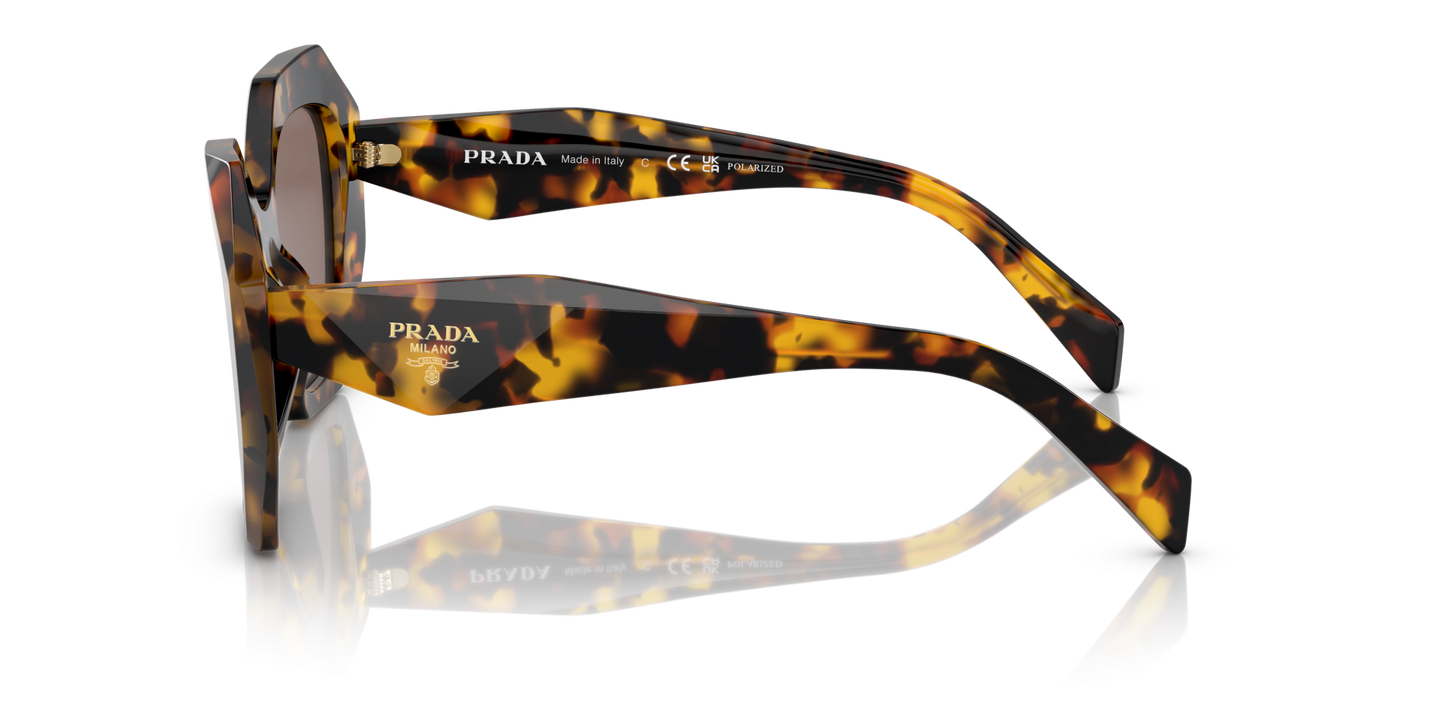 Prada Sunglasses Honey Tortoise-Polar Light Brown | PRADA PR 16WS Honey Tortoise-Polar Light Brown