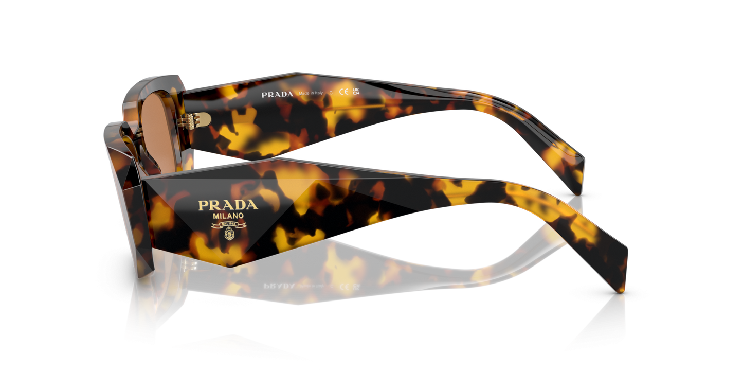 משקפי שמש פראדה דבש צב-חום כהה | PRADA PR 17WS Honey Tortoise-Dark Brown