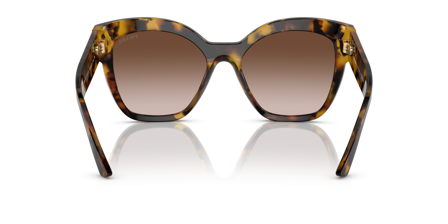 Prada Sunglasses Honey Tortoise-Brown Gradient | PRADA PR 17ZS Honey Tortoise-Brown Gradient