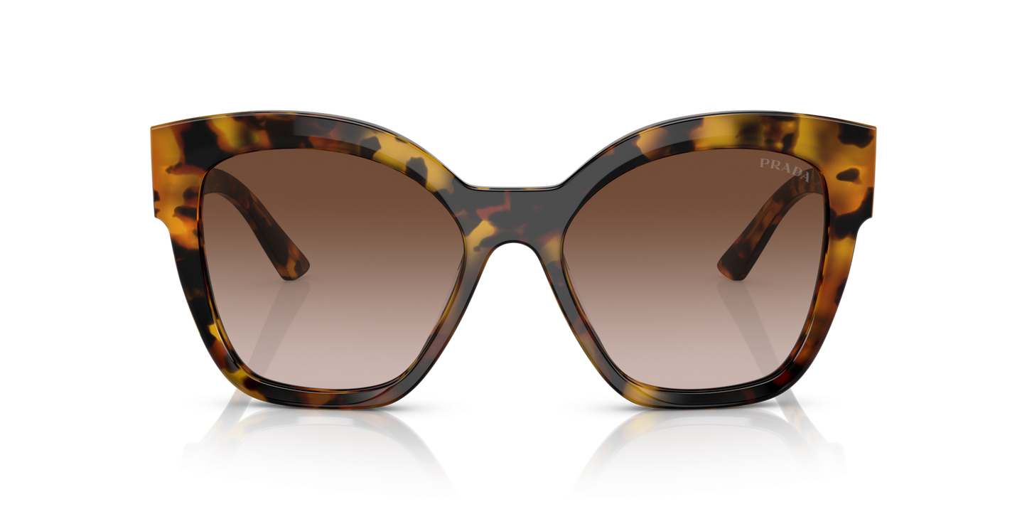 Prada Sunglasses Honey Tortoise-Brown Gradient | PRADA PR 17ZS Honey Tortoise-Brown Gradient