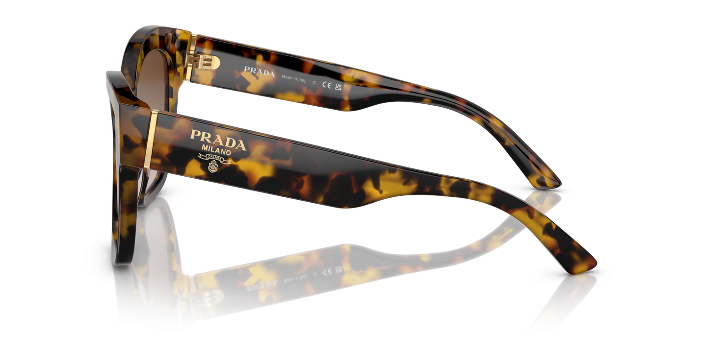 Prada Sunglasses Honey Tortoise-Brown Gradient | PRADA PR 17ZS Honey Tortoise-Brown Gradient