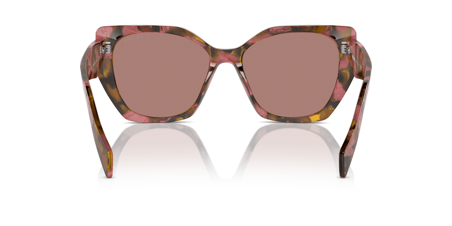 Prada Sunglasses Tortoise Cognac Begonia-Light Brown | PRADA PR 19ZS Tortoise Cognac Begonia-Light Brown