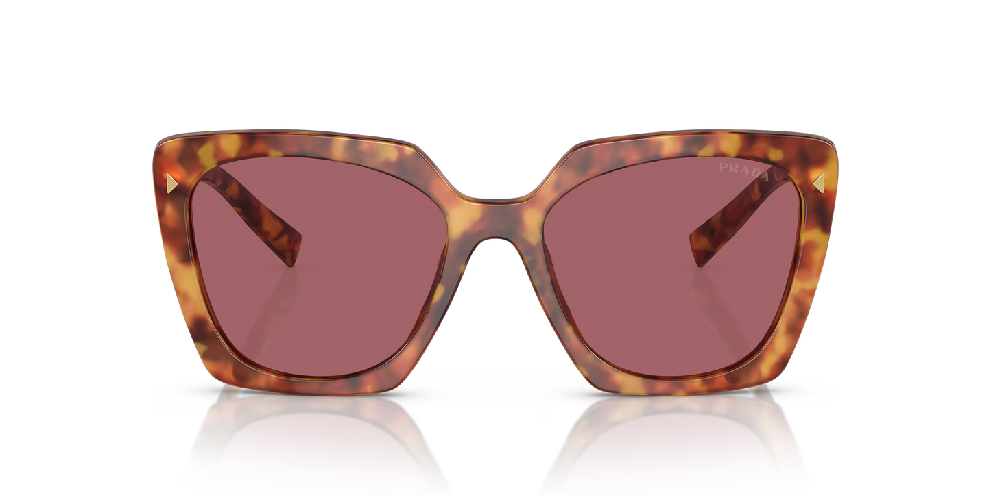 Prada Sunglasses Tortoise-Violet | Prada PR 23ZS Tortoise-Violet