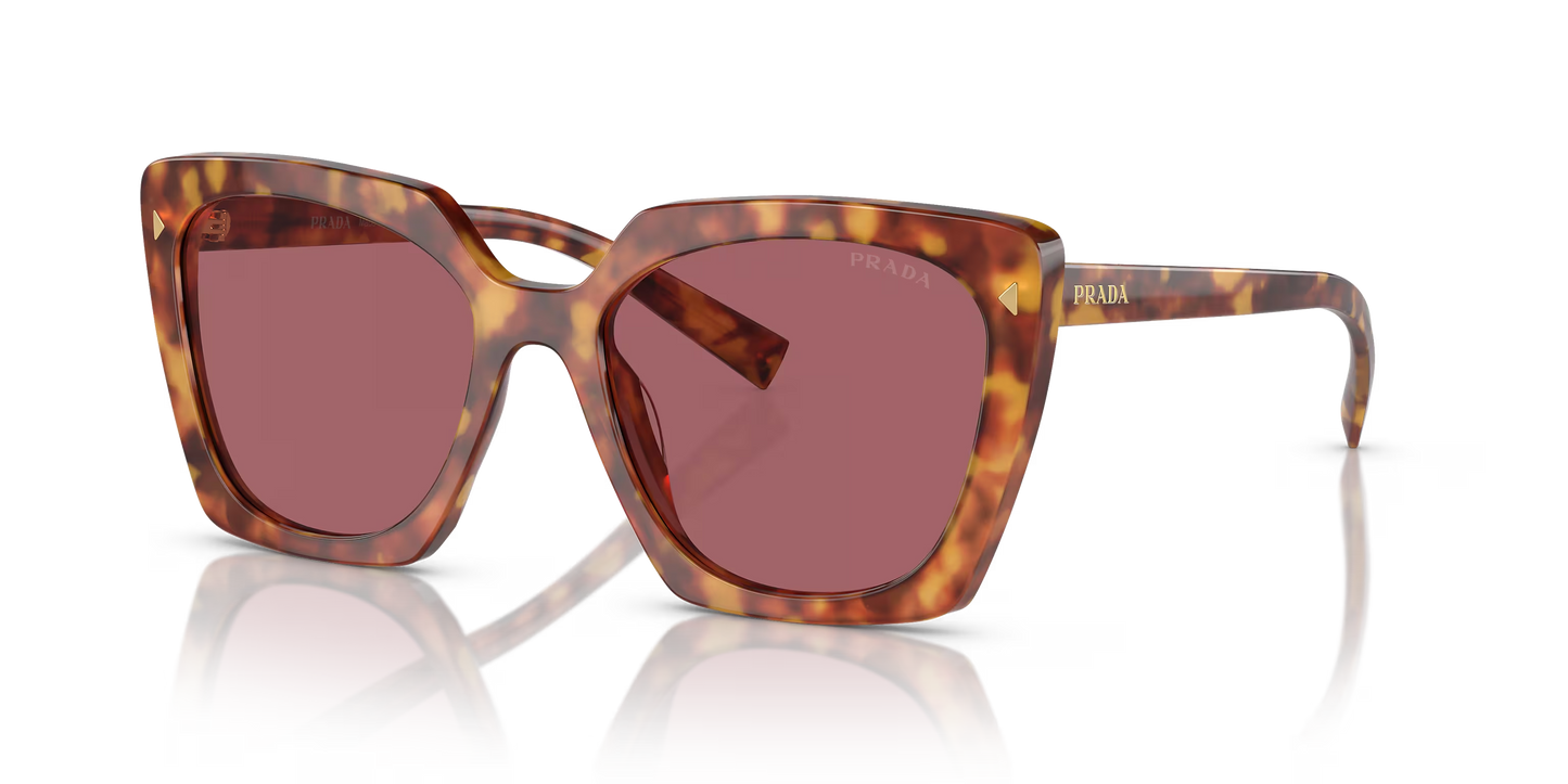 Prada Sunglasses Tortoise-Violet | Prada PR 23ZS Tortoise-Violet