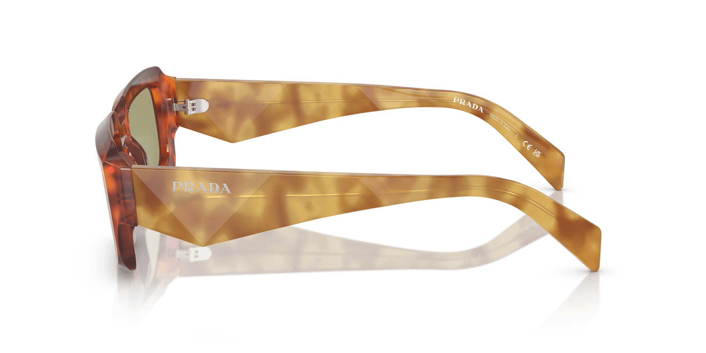 Prada Sunglasses Cognac Tortoise-Green | Prada PR 27ZS Cognac Tortoise-Green
