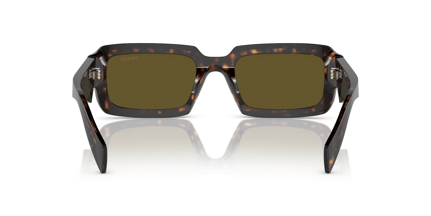 Prada PR 27ZS Loden/Black-Dark Brown Sunglasses