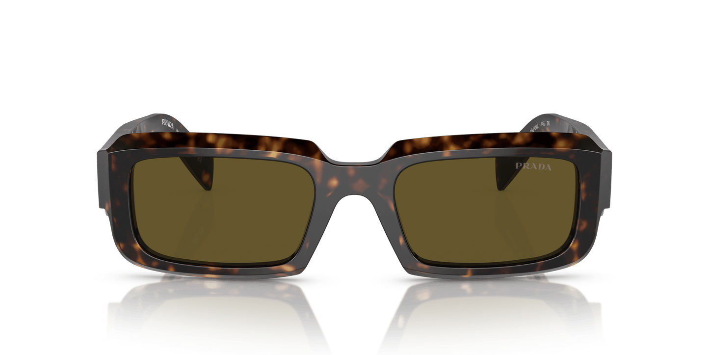 Prada PR 27ZS Loden/Black-Dark Brown Sunglasses