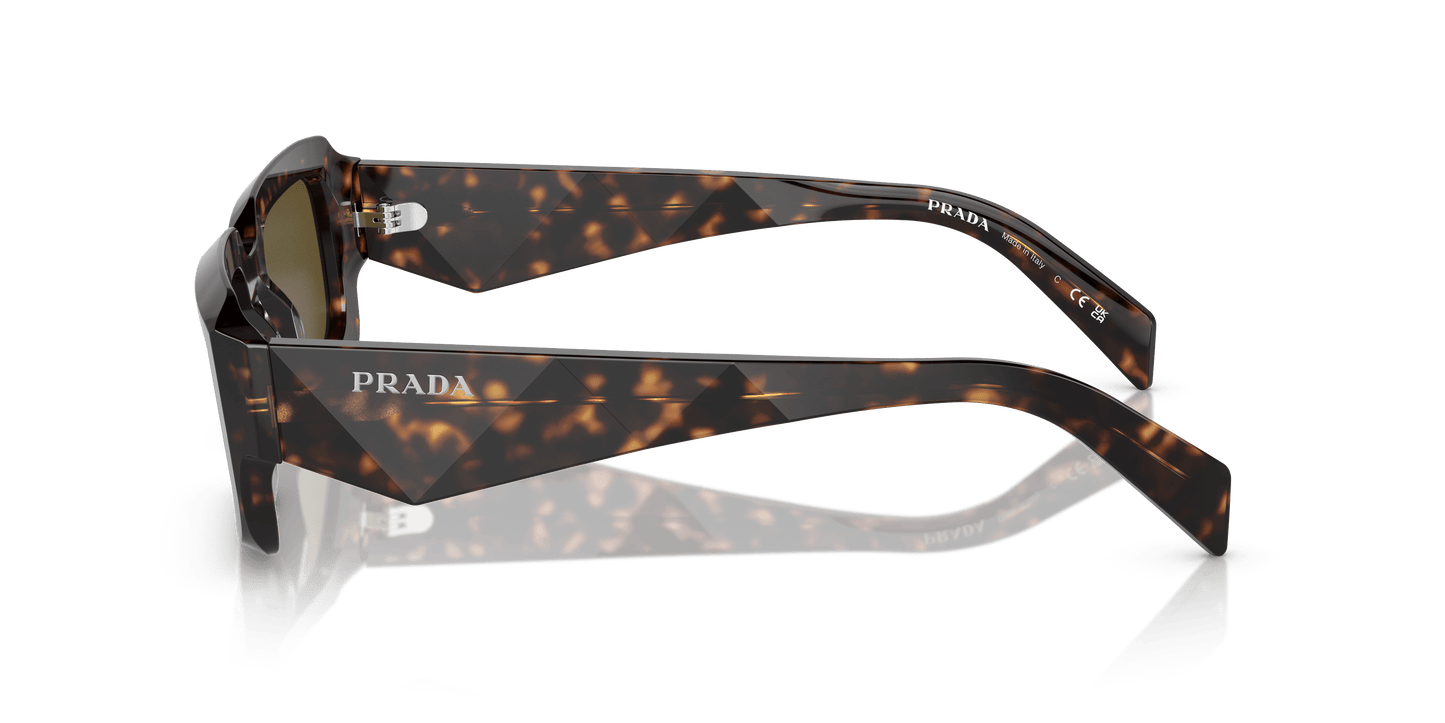 Prada PR 27ZS Loden/Black-Dark Brown Sunglasses