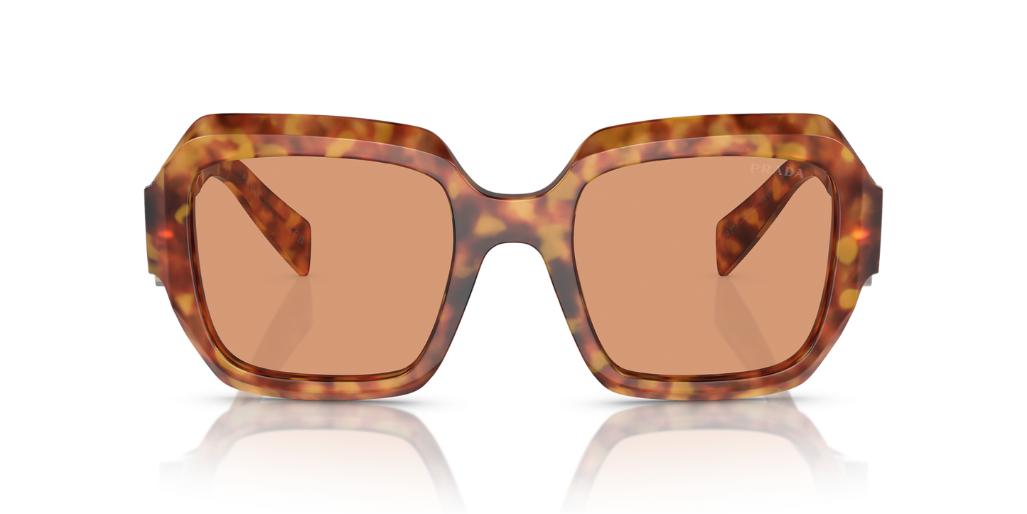 Prada Sunglasses Tortoise-Brown | Prada PR 28ZS Tortoise-Brown