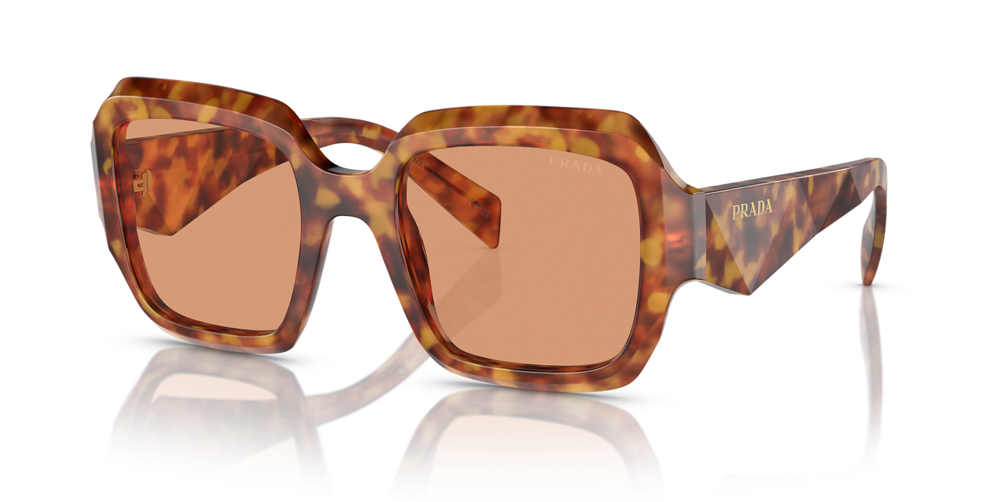 Prada Sunglasses Tortoise-Brown | Prada PR 28ZS Tortoise-Brown