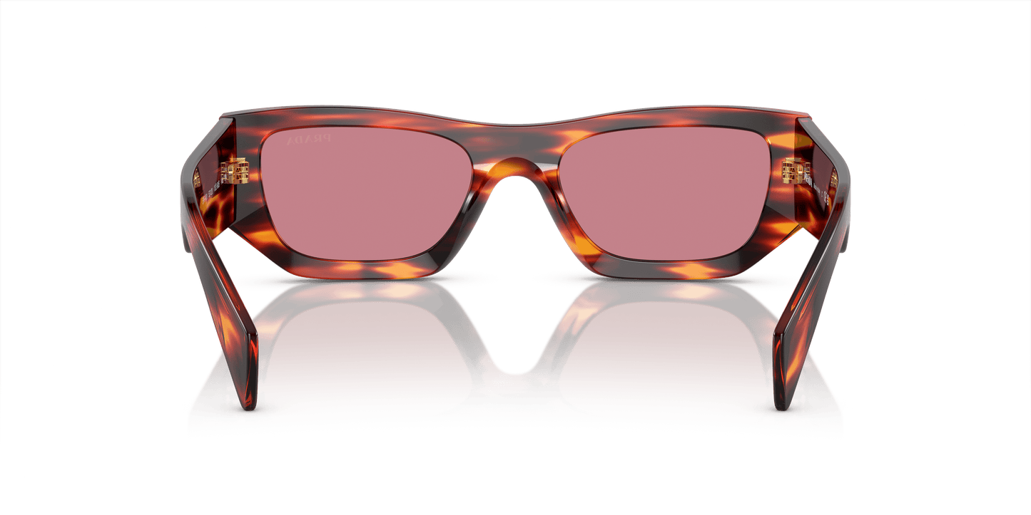 Prada Havana Red-Dark Violet Sunglasses | PRADA PR A01S Havana Red-Dark Violet