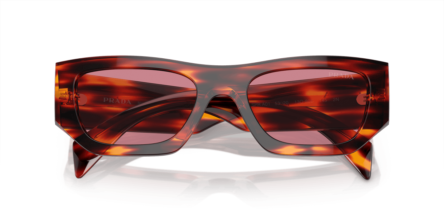 Prada Havana Red-Dark Violet Sunglasses | PRADA PR A01S Havana Red-Dark Violet
