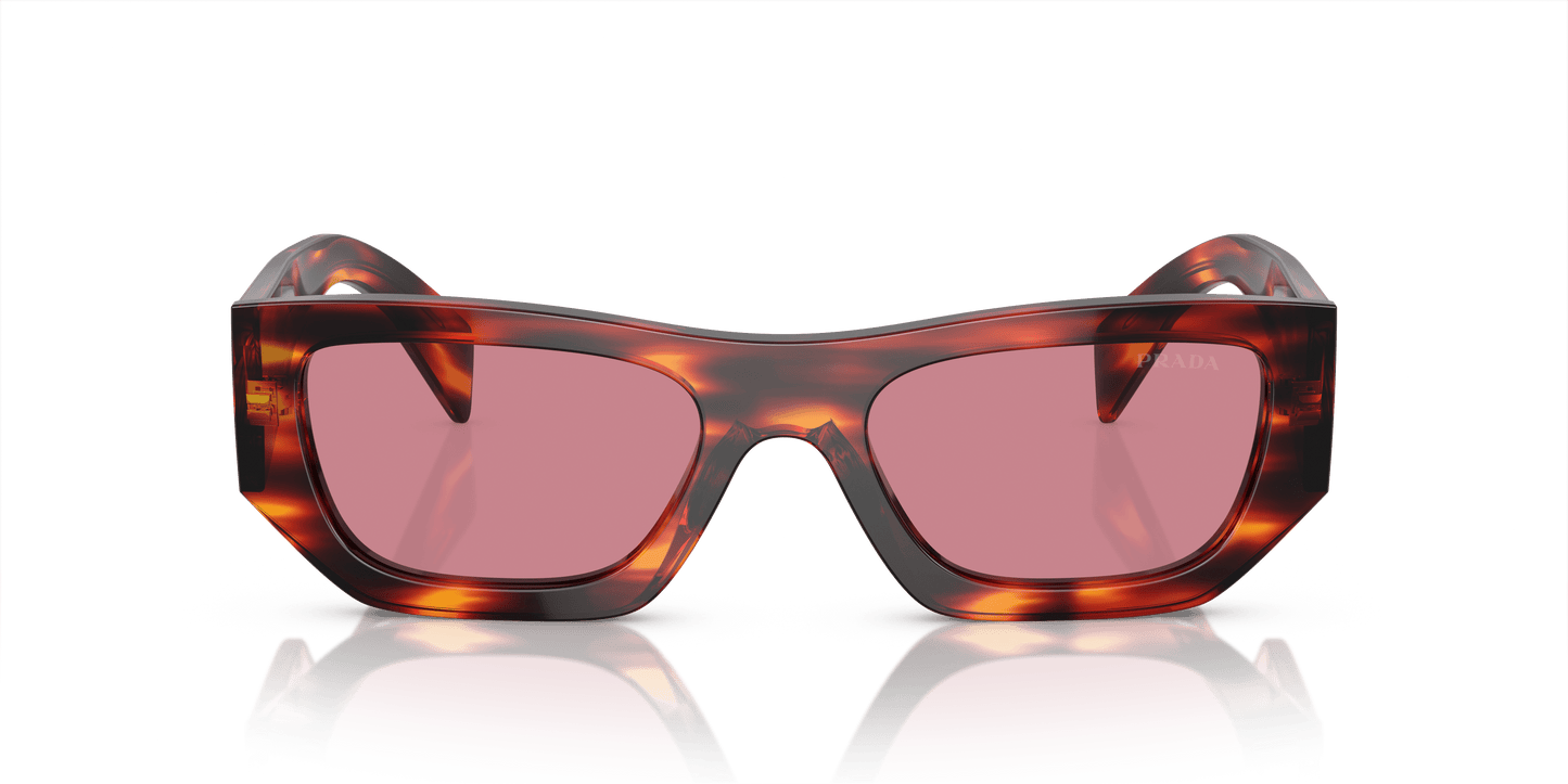 Prada Havana Red-Dark Violet Sunglasses | PRADA PR A01S Havana Red-Dark Violet