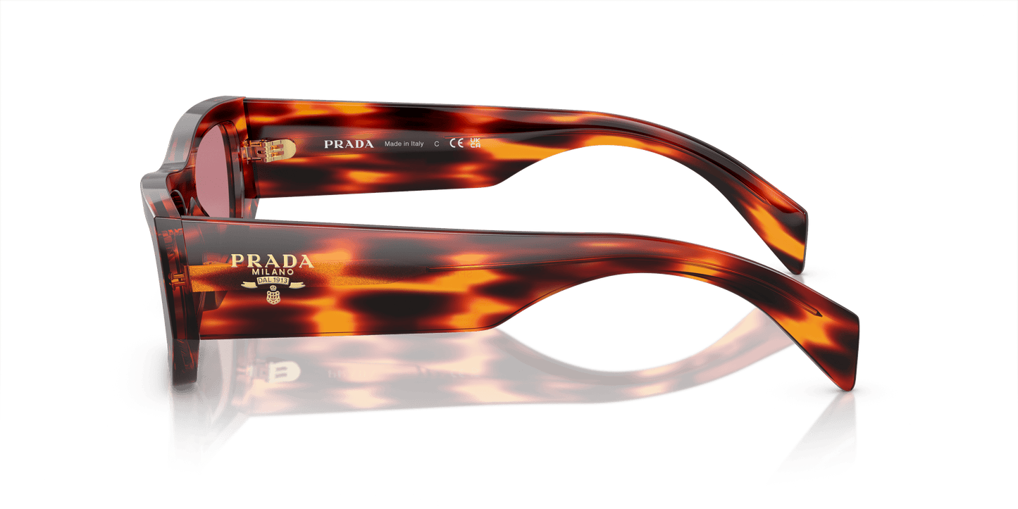 משקפי שמש פראדה הוואנה סגול אדום-כהה | PRADA PR A01S Havana Red-Dark Violet