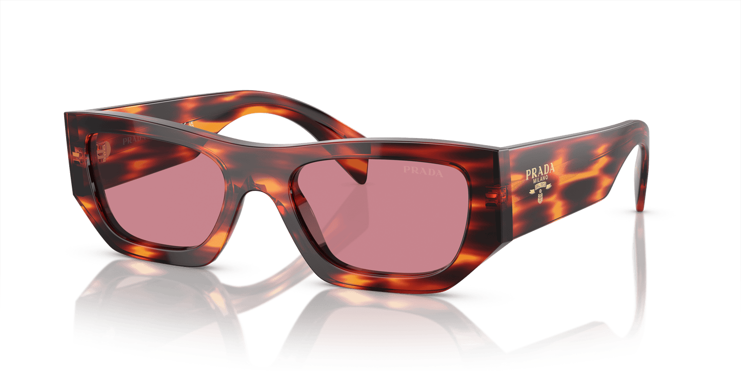 Prada Havana Red-Dark Violet Sunglasses | PRADA PR A01S Havana Red-Dark Violet