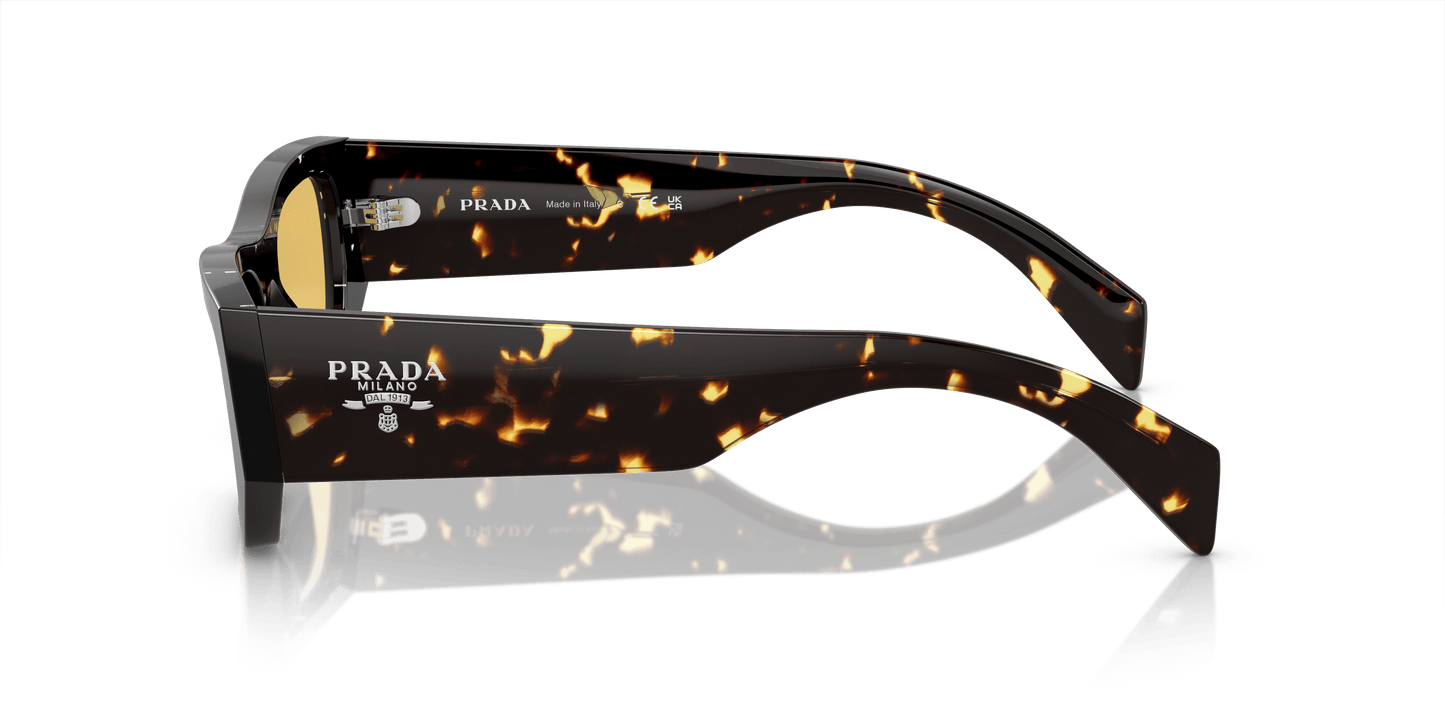 Prada Havana Black Transparent-Yellow Sunglasses | PRADA PR A01S Havana Black Transparent-Yellow