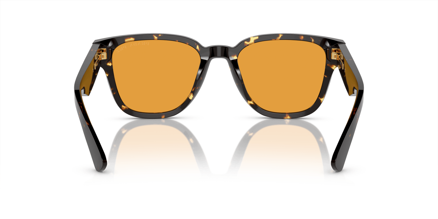 Prada Havana Sunglasses Black/Yellow-Yellow Polar | Prada PR A04S Havana Black/Yellow-Yellow Polar