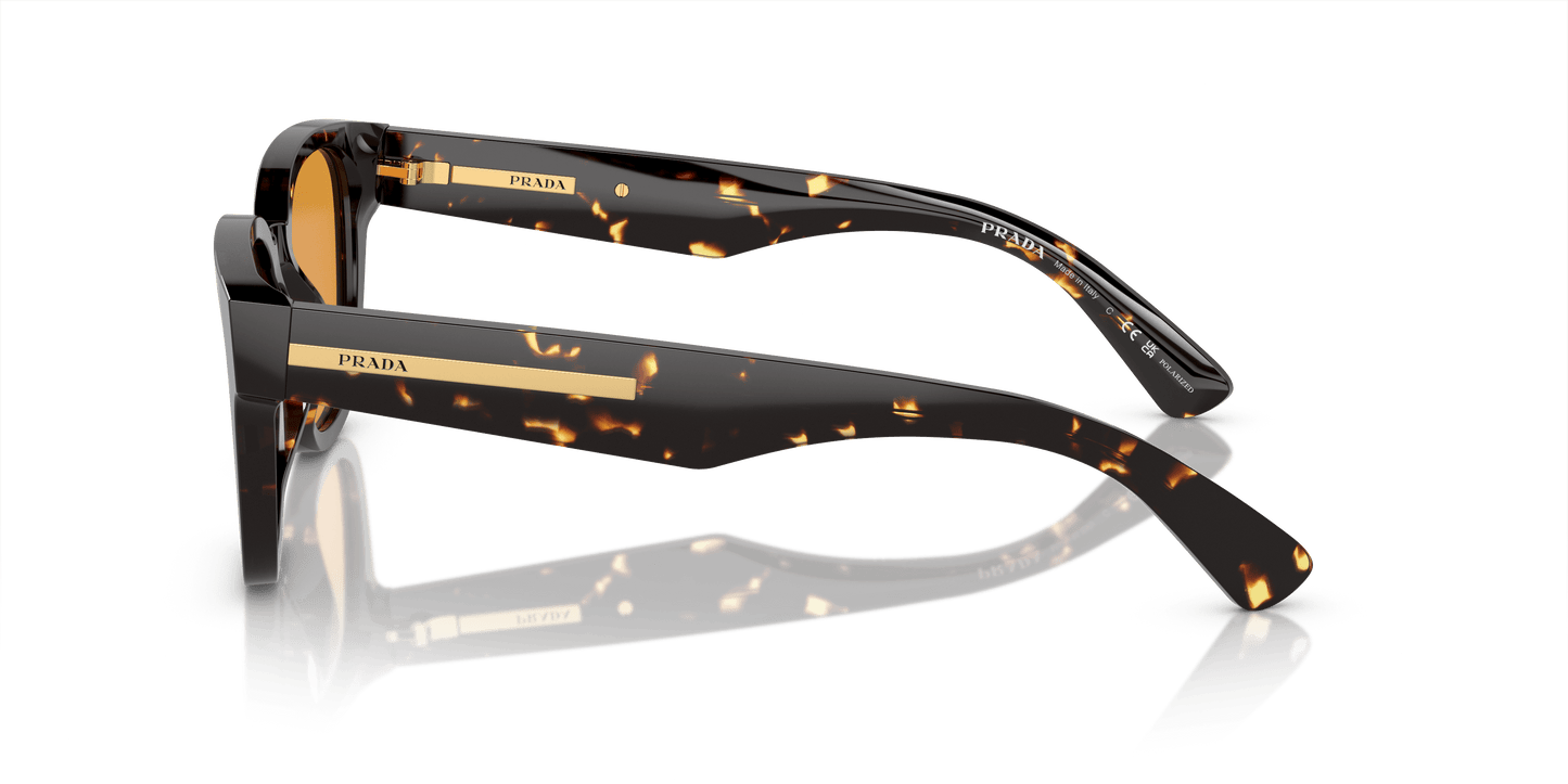 Prada Havana Sunglasses Black/Yellow-Yellow Polar | Prada PR A04S Havana Black/Yellow-Yellow Polar
