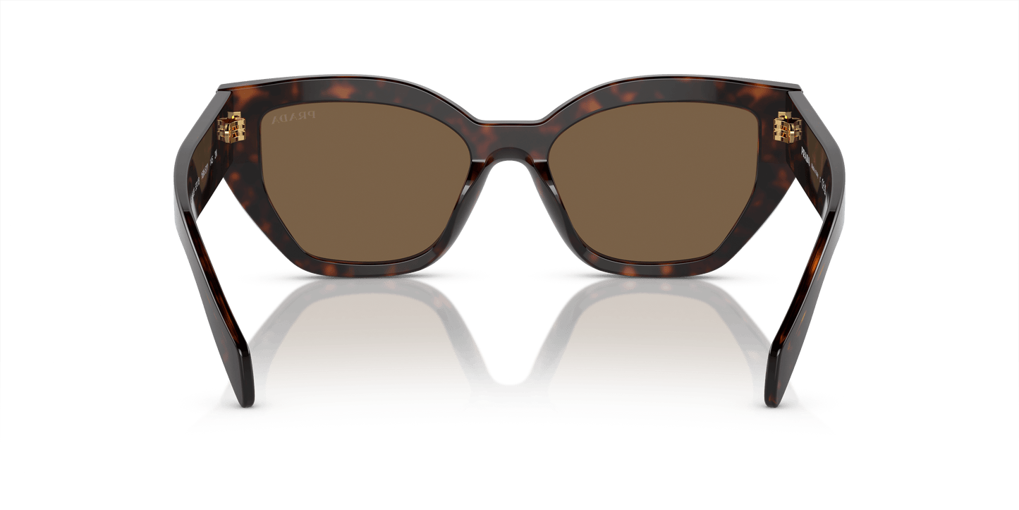 Prada Briar Tortoise-Dark Brown Sunglasses | PRADA PR A09S Briar Tortoise-Dark Brown