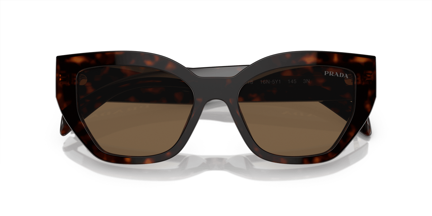 Prada Briar Tortoise-Dark Brown Sunglasses | PRADA PR A09S Briar Tortoise-Dark Brown