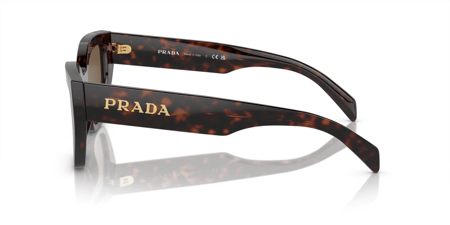 Prada Briar Tortoise-Dark Brown Sunglasses | PRADA PR A09S Briar Tortoise-Dark Brown