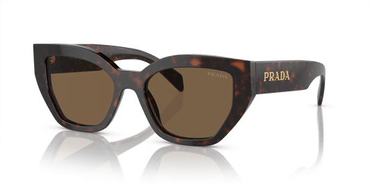 משקפי שמש של פראדה ברואר צב-חום כהה | PRADA PR A09S Briar Tortoise-Dark Brown