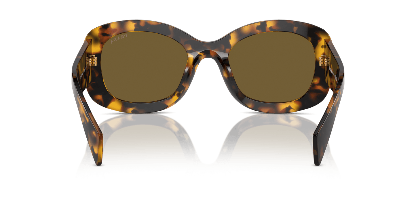 Prada Honey Tortoise-Dark Brown Sunglasses | PRADA PR A13S Honey Tortoise-Dark Brown