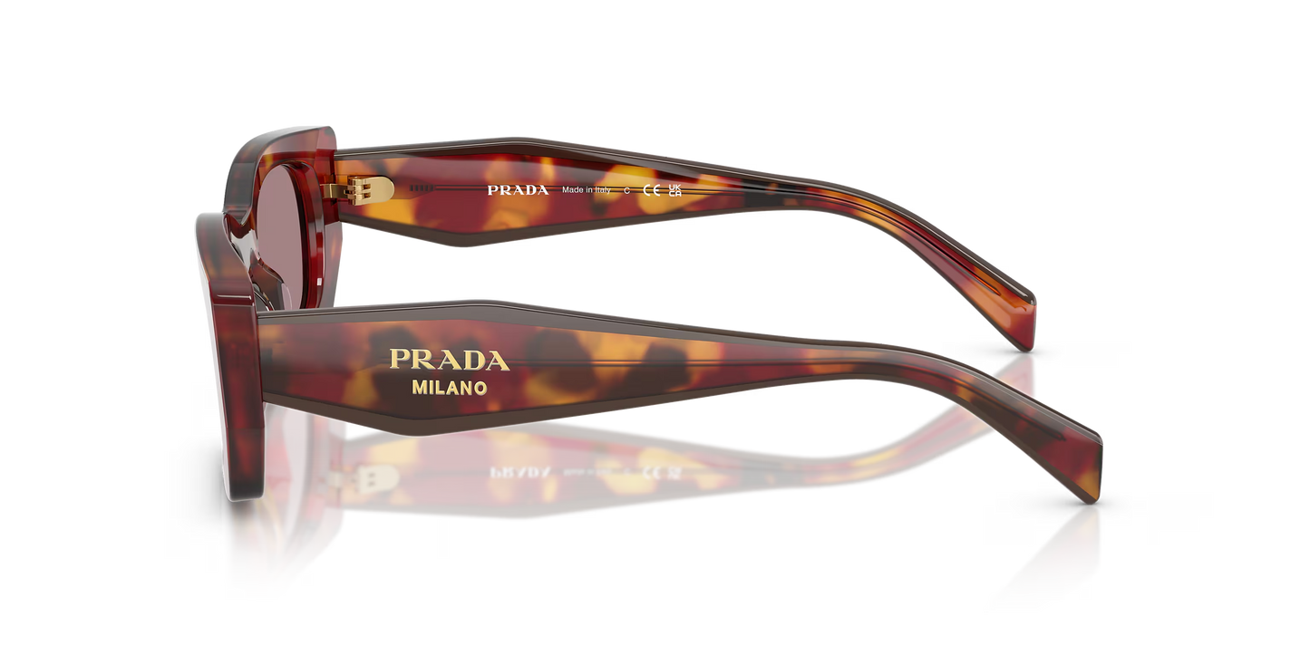 Prada Sunglasses Tortoise-Violet | Prada PR B05S Tortoise-Violet