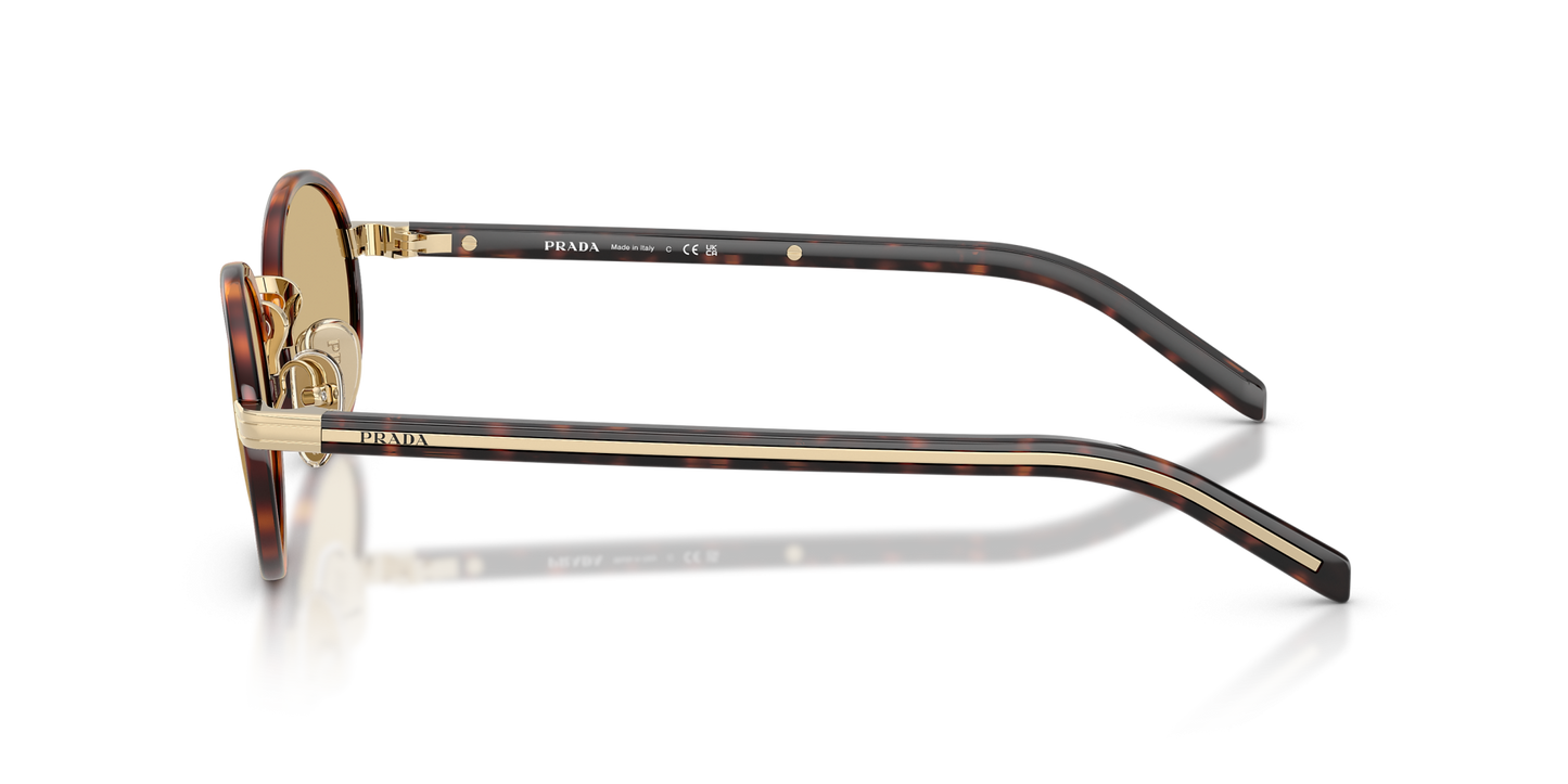 משקפי שמש פראדה צב-צהוב | Prada PR B56S Tortoise-Yellow