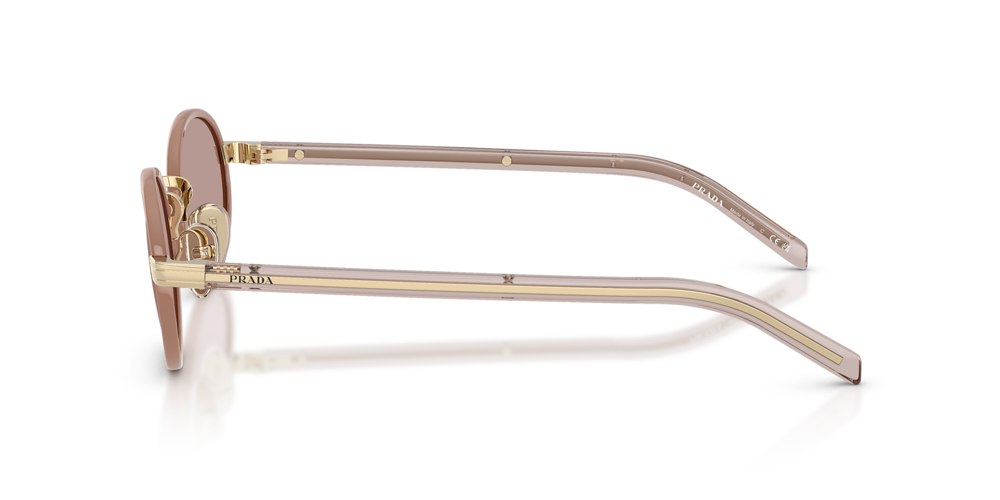 משקפי שמש פראדה חום-סגול | Prada PR B56S Brown-Violet