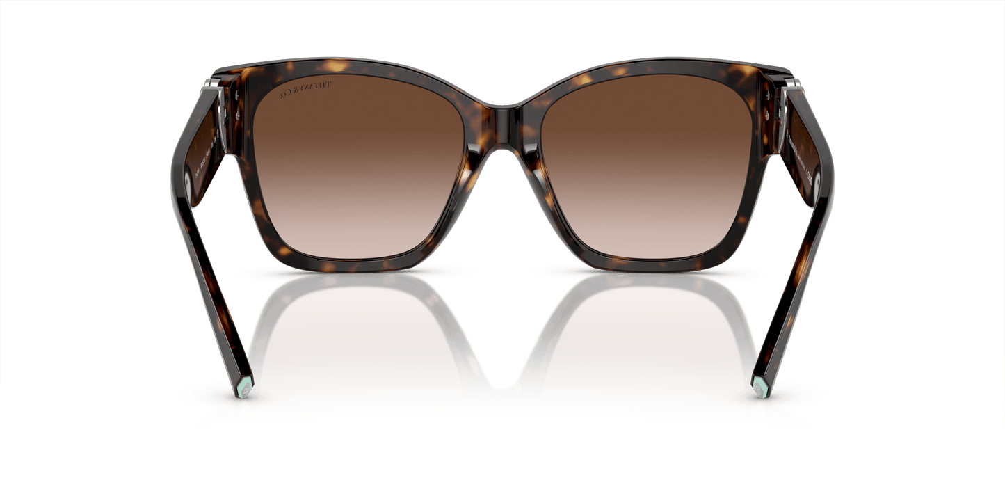 משקפי שמש טיפאני שיפוע חום הוואנה | TIFFANY & CO. TF4216 Havana-Brown Gradient