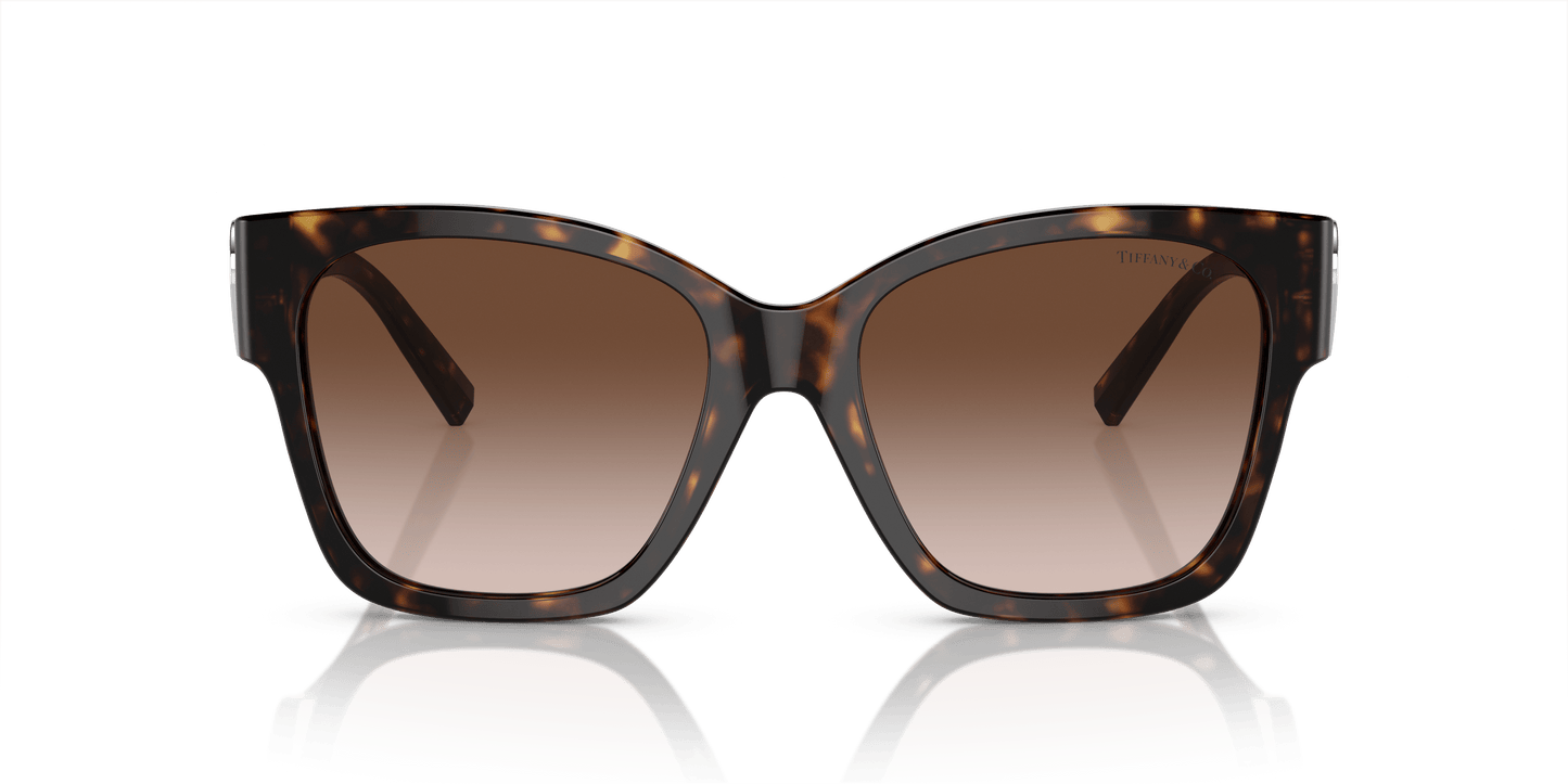 משקפי שמש טיפאני שיפוע חום הוואנה | TIFFANY & CO. TF4216 Havana-Brown Gradient