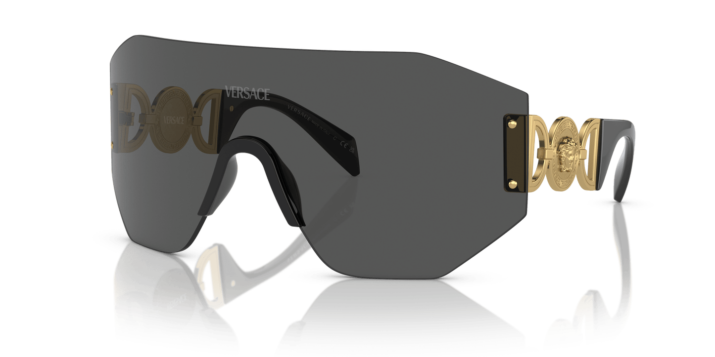 Versace Sunglasses Dark Grey | Versace VE2258 Dark Grey
