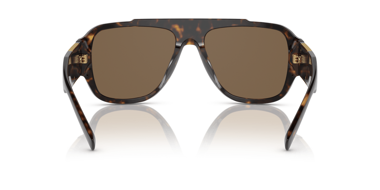 משקפי שמש של ורסאצ'ה הוואנה-חום כהה | Versace VE4436U Havana-Dark Brown