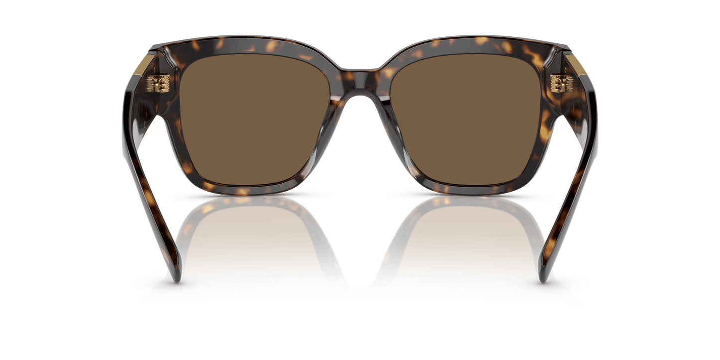 משקפי שמש של ורסאצ'ה הוואנה-חום כהה | Versace VE4437U Havana-Dark Brown