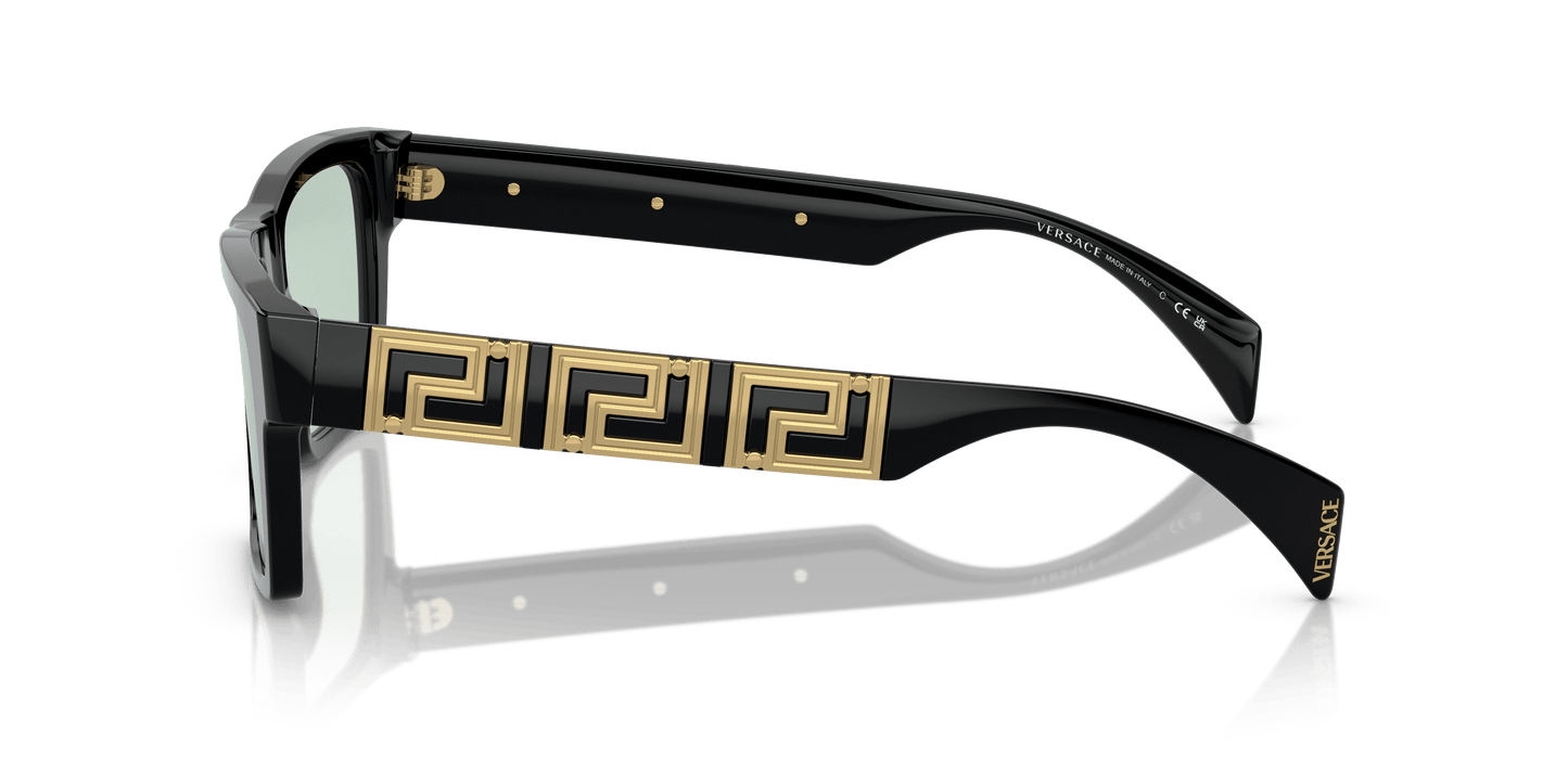 משקפי שמש של ורסאצ'ה שחור-תמונה ירוק | Versace VE4445 Black-Photo Green