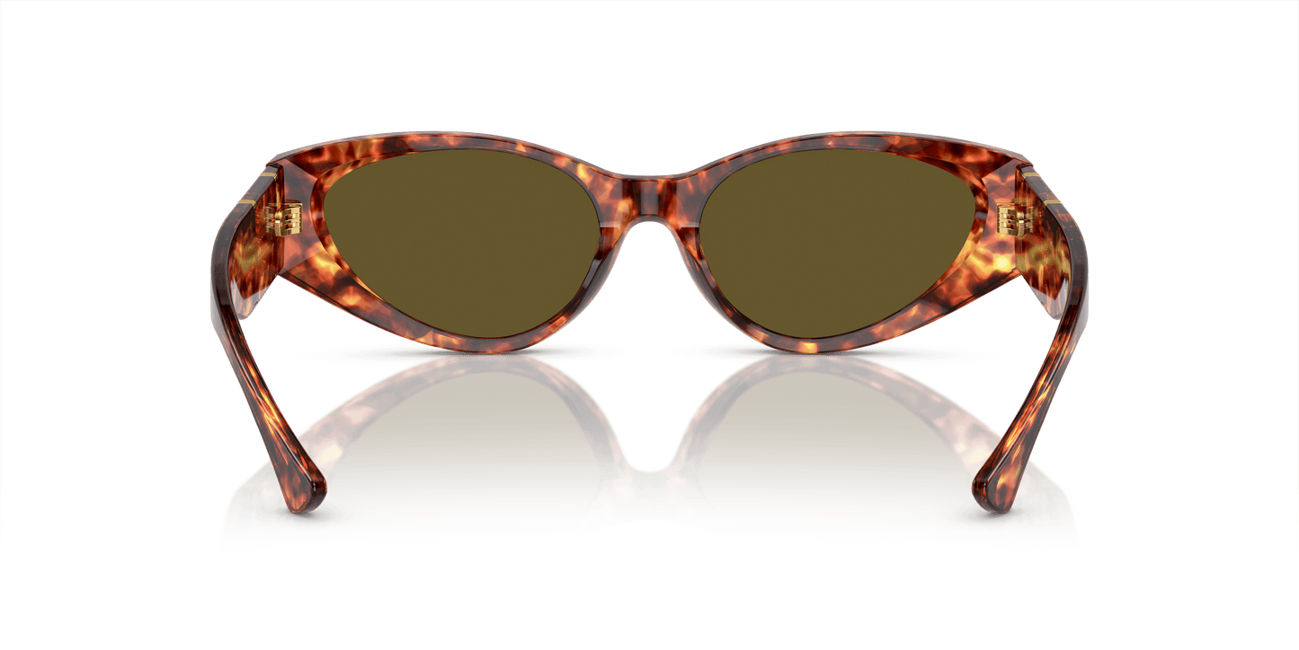 משקפי שמש של ורסאצ'ה הוואנה-חום כהה | Versace VE4454 Havana-Dark Brown