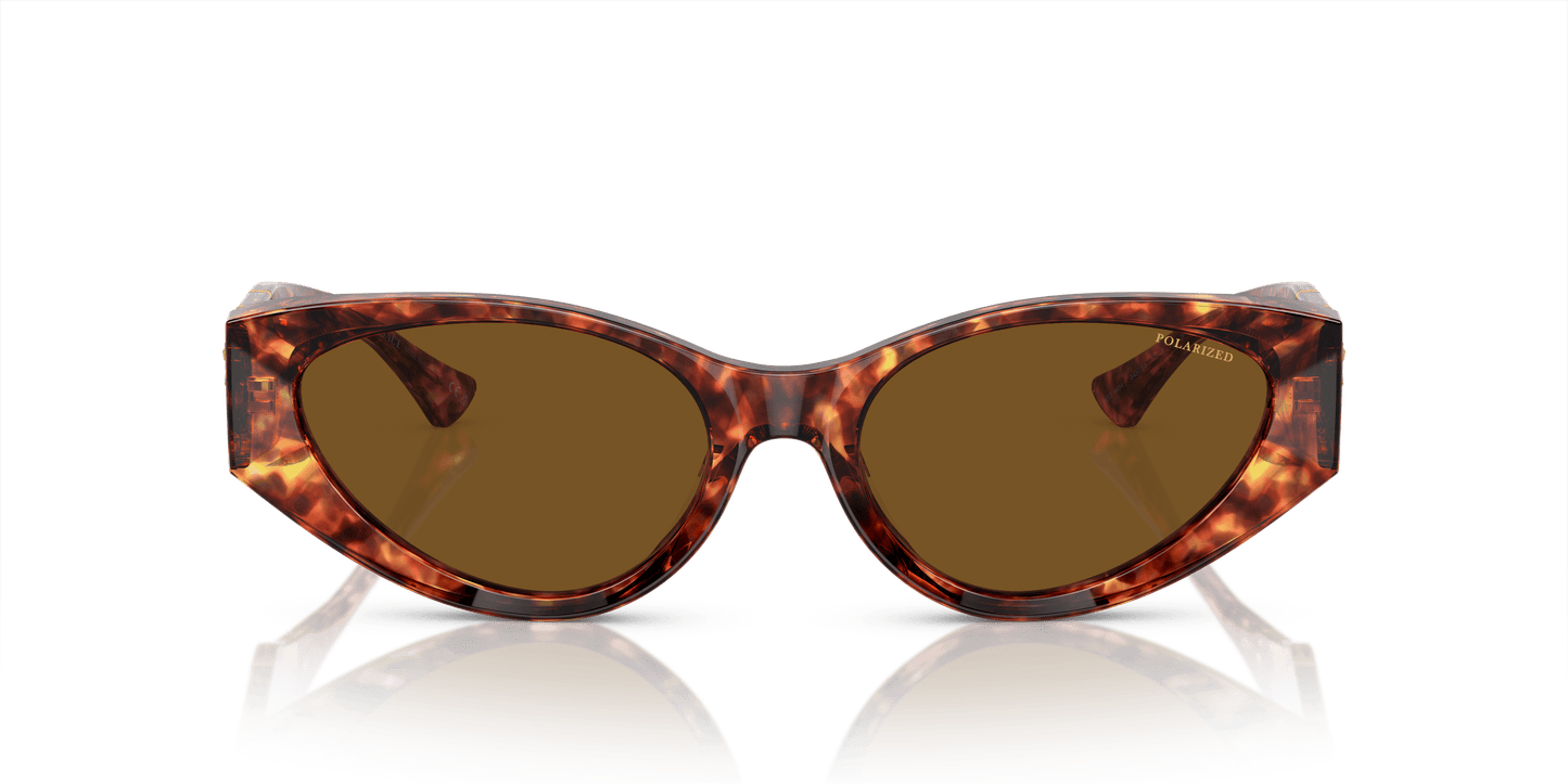 Hebrew | Versace VE4454 Havana-Dark Brown Polar
