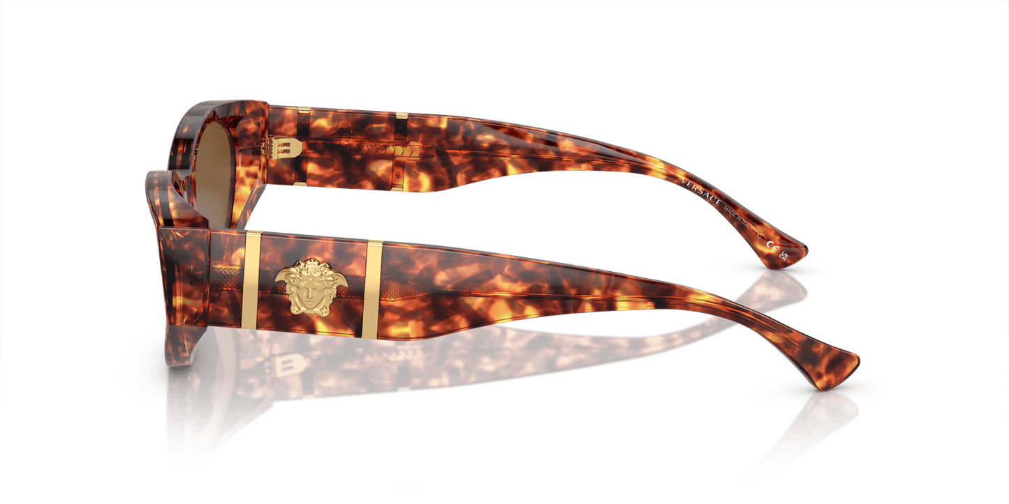 Hebrew | Versace VE4454 Havana-Dark Brown Polar
