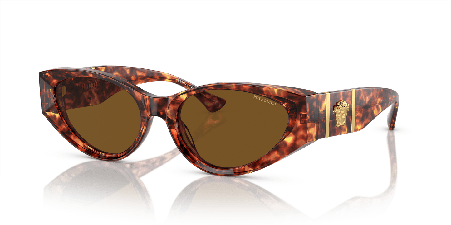 Hebrew | Versace VE4454 Havana-Dark Brown Polar