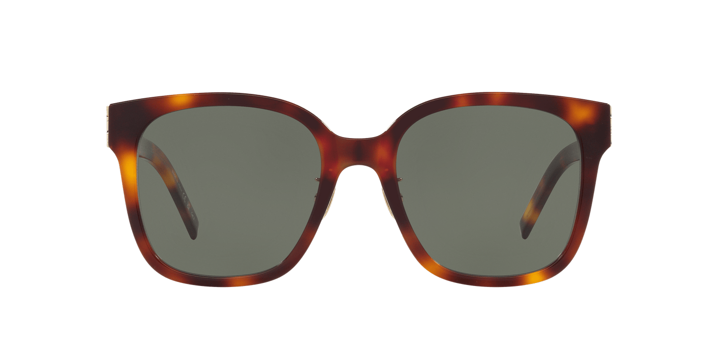 משקפי שמש סן לורן צב-ירוק | Saint Laurent SL M105/F Tortoise-Green