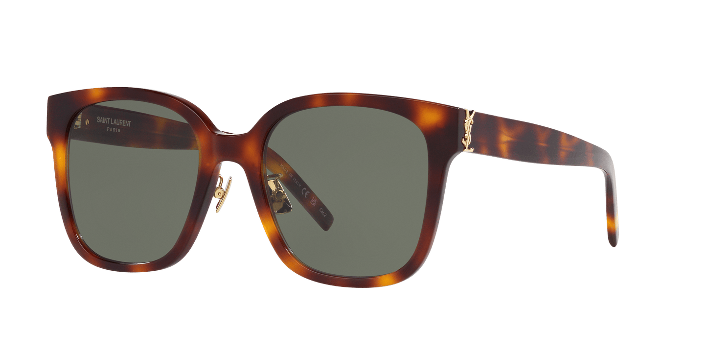 משקפי שמש סן לורן צב-ירוק | Saint Laurent SL M105/F Tortoise-Green