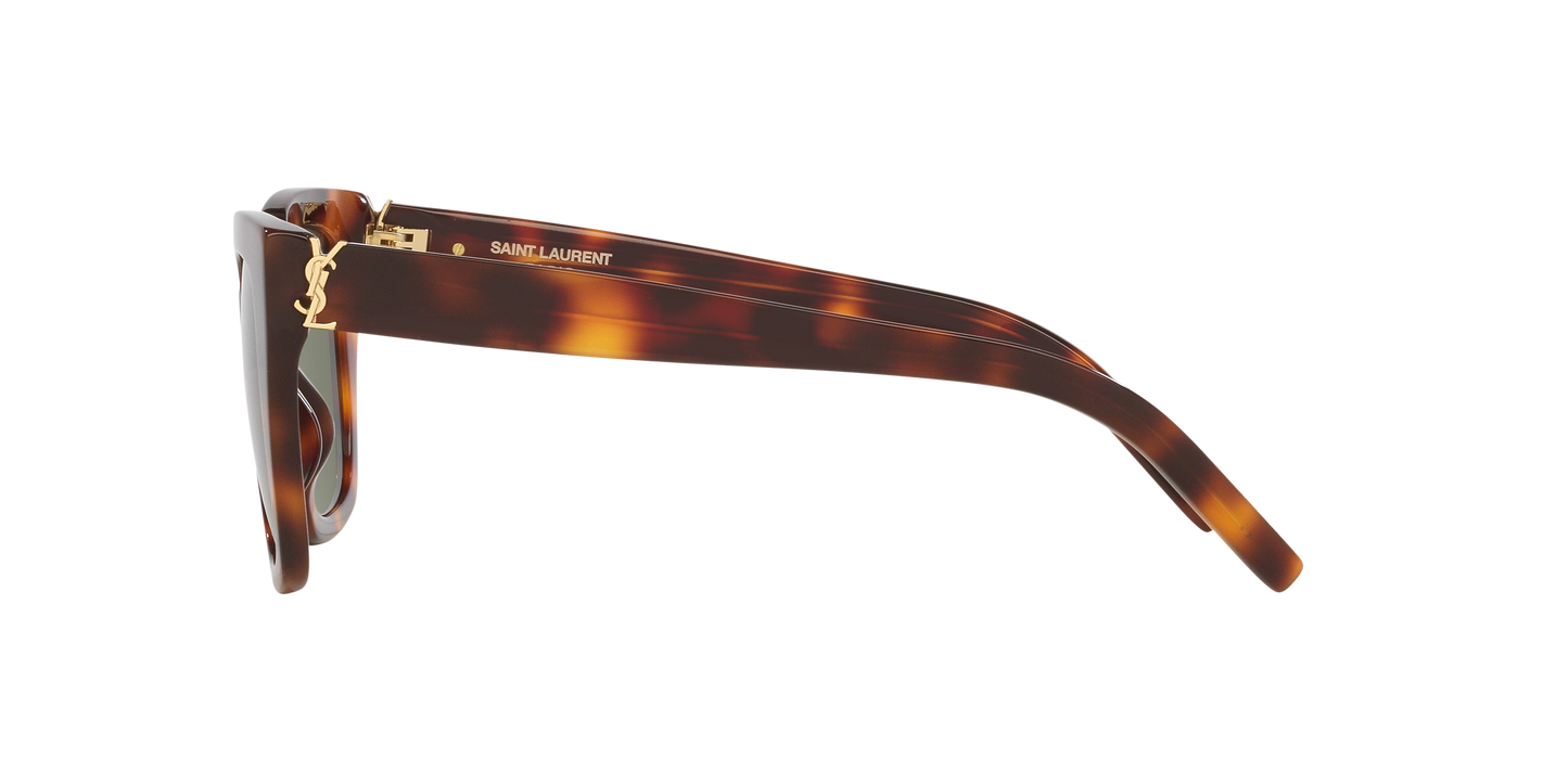 משקפי שמש סן לורן צב-ירוק | Saint Laurent SL M143 Tortoise-Green
