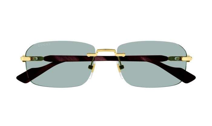 Gucci Sunglasses 3 | GUCCI GG1221S