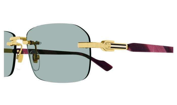 Gucci Sunglasses 3 | GUCCI GG1221S
