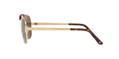 משקפי שמש קרטייה זהב-ירוק | CARTIER CT0165S Gold-Green