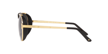 Cartier Sunglasses Gold-Grey | CARTIER CT0296S Gold-Grey
