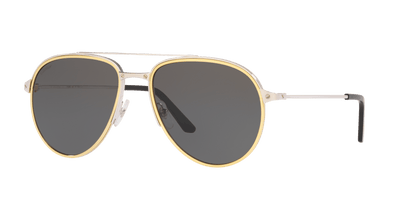 Cartier Silver Sunglasses | CARTIER CT0325S Silver